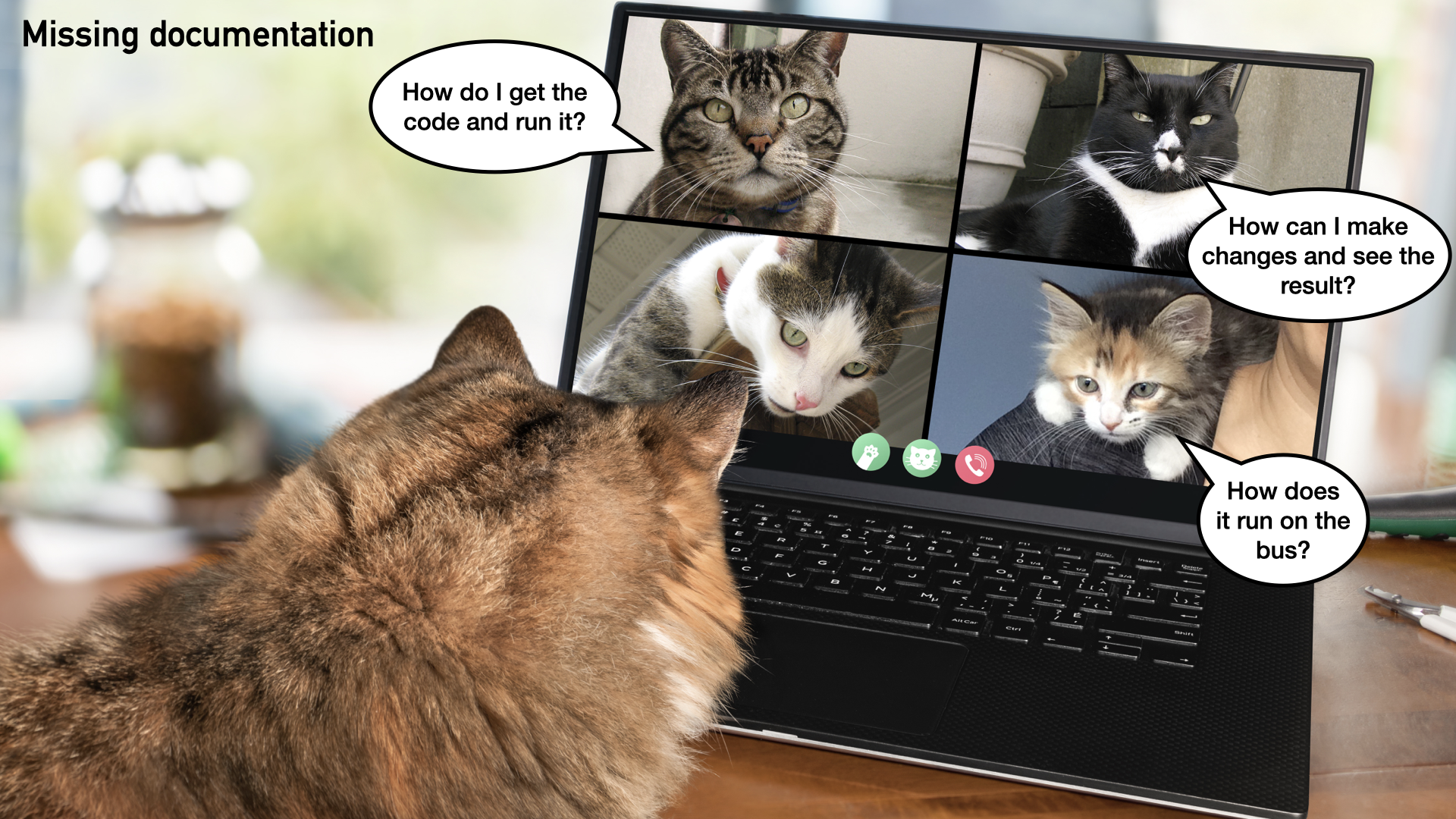 photo of a cat using a laptop to participate in a video call with other cats. The other cats have speech bubbles with the questions asked about missing documentation.