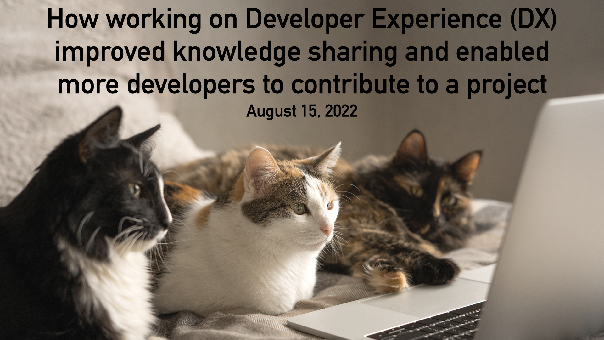 Three cats laying on a bed staring at an open laptop under the title, "How working on Developer Experience (DX) improved knowledge sharing and enabled more developers to contribute to a project"